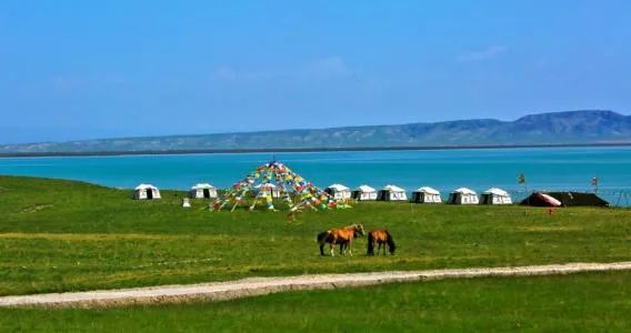 1609295099133416.jpeg 1.jpg