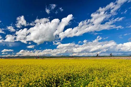 1609295168229797.jpeg 3.jpg