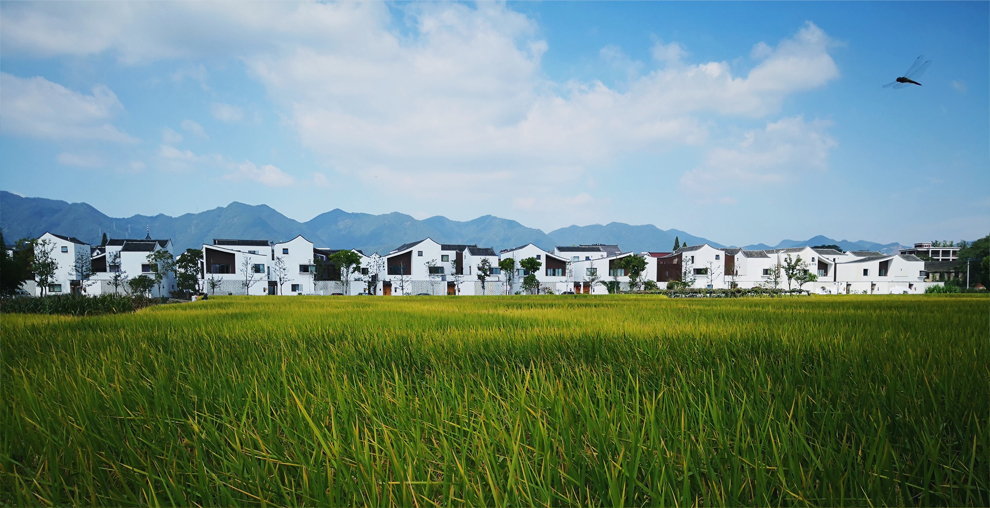 1627525019169231.jpeg src=http___inews.gtimg.com_newsapp_match_0_11821129780_0.jpg&refer=http___inews.gtimg.jpg